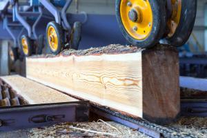 分拣线木材长度测量